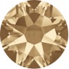 12ss Golden Honey-Maxima